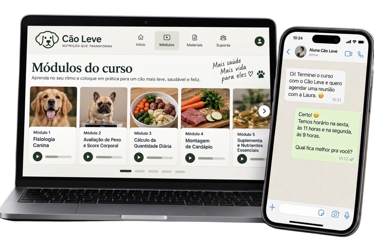 Método Cão Leve no notebook e reunião individual no celular