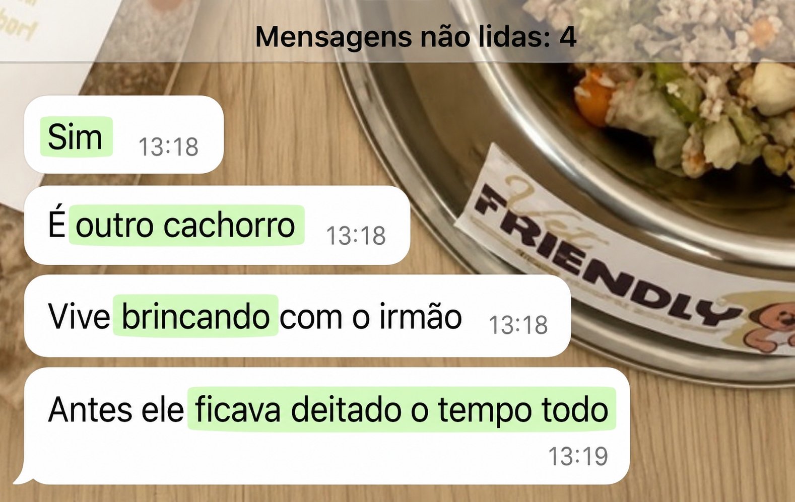 Depoimento de tutor sobre o emagrecimento do cão com o Método Cão Leve