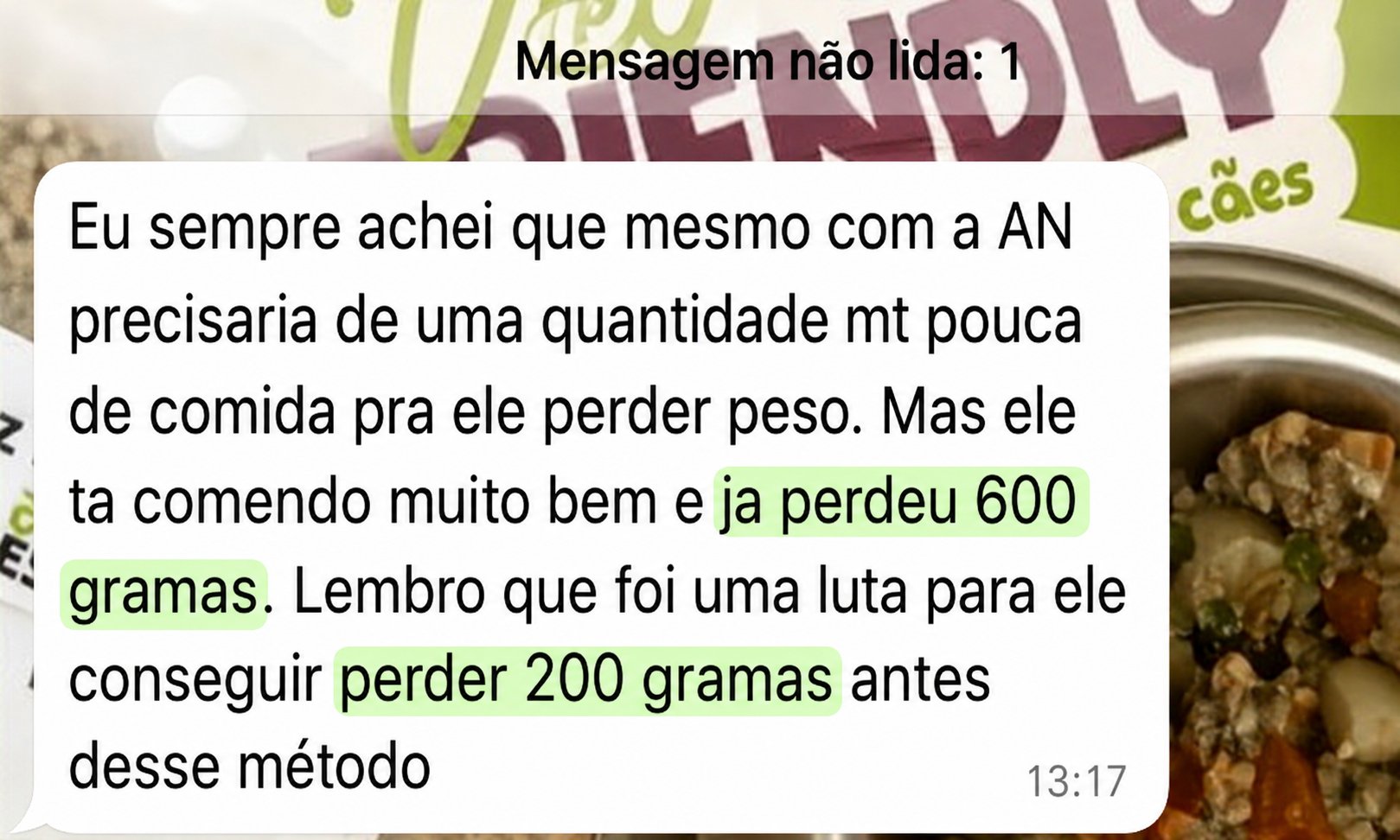 Depoimento de tutor sobre o emagrecimento do cão com o Método Cão Leve