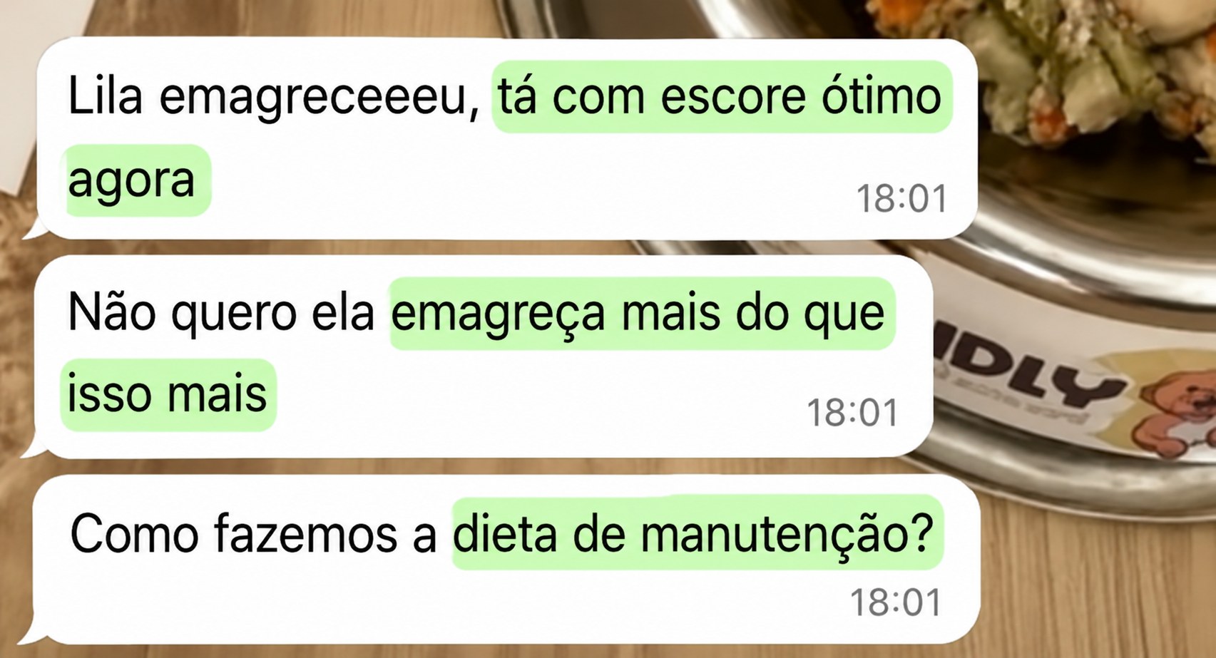 Depoimento de tutor sobre o resultado do cão com o Método Cão Leve