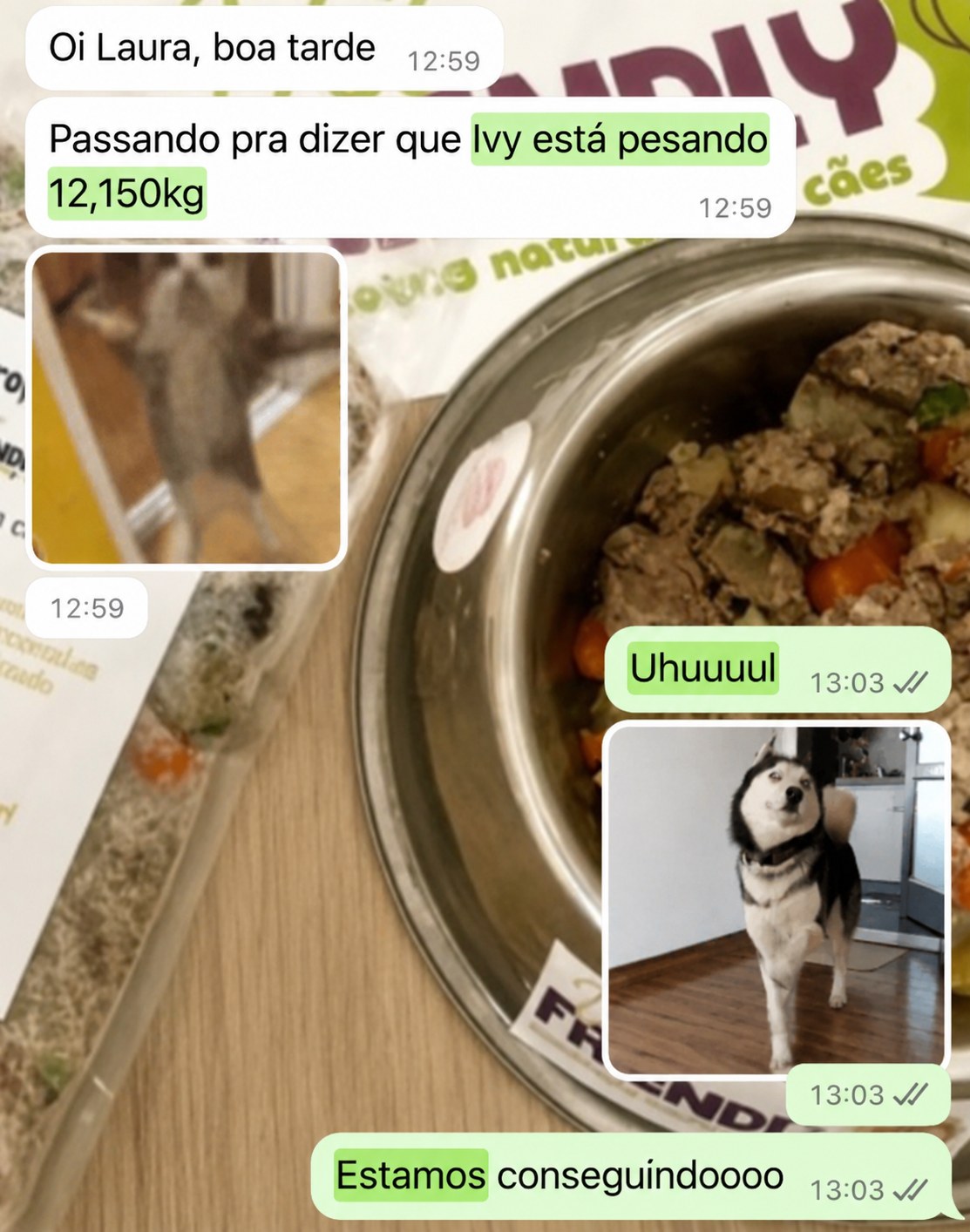 Depoimento de tutor sobre o resultado do cão com o Método Cão Leve