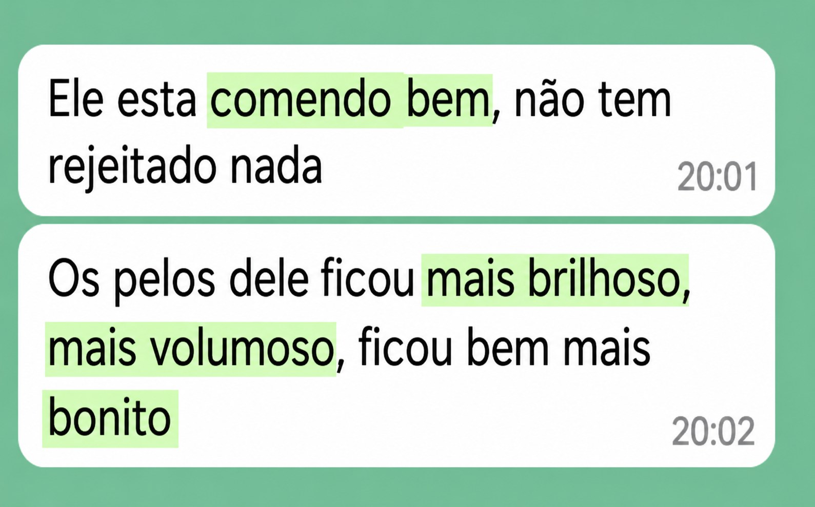 Depoimento de tutor sobre o resultado do cão com o Método Cão Leve